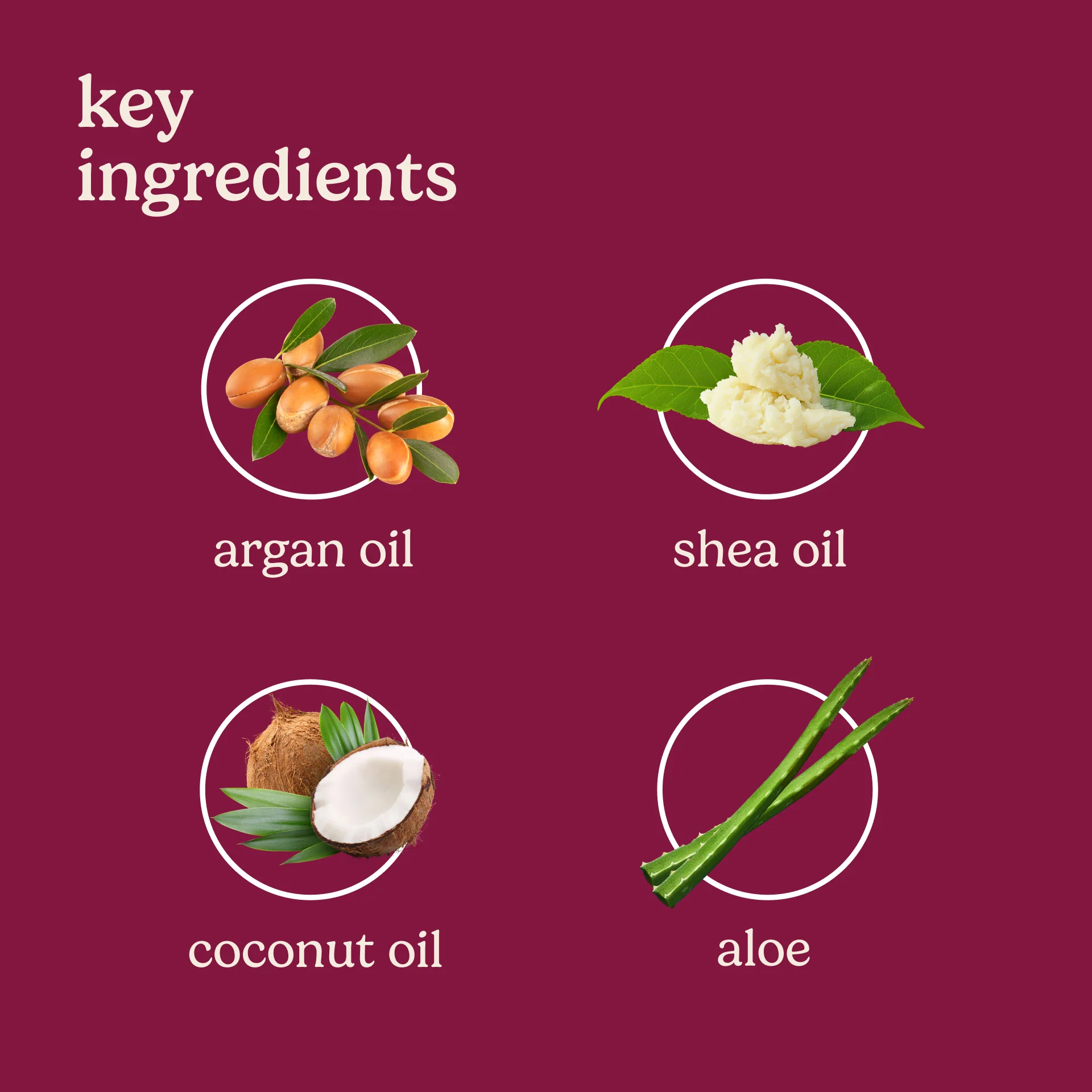 Women's Shave Oil - Image 5